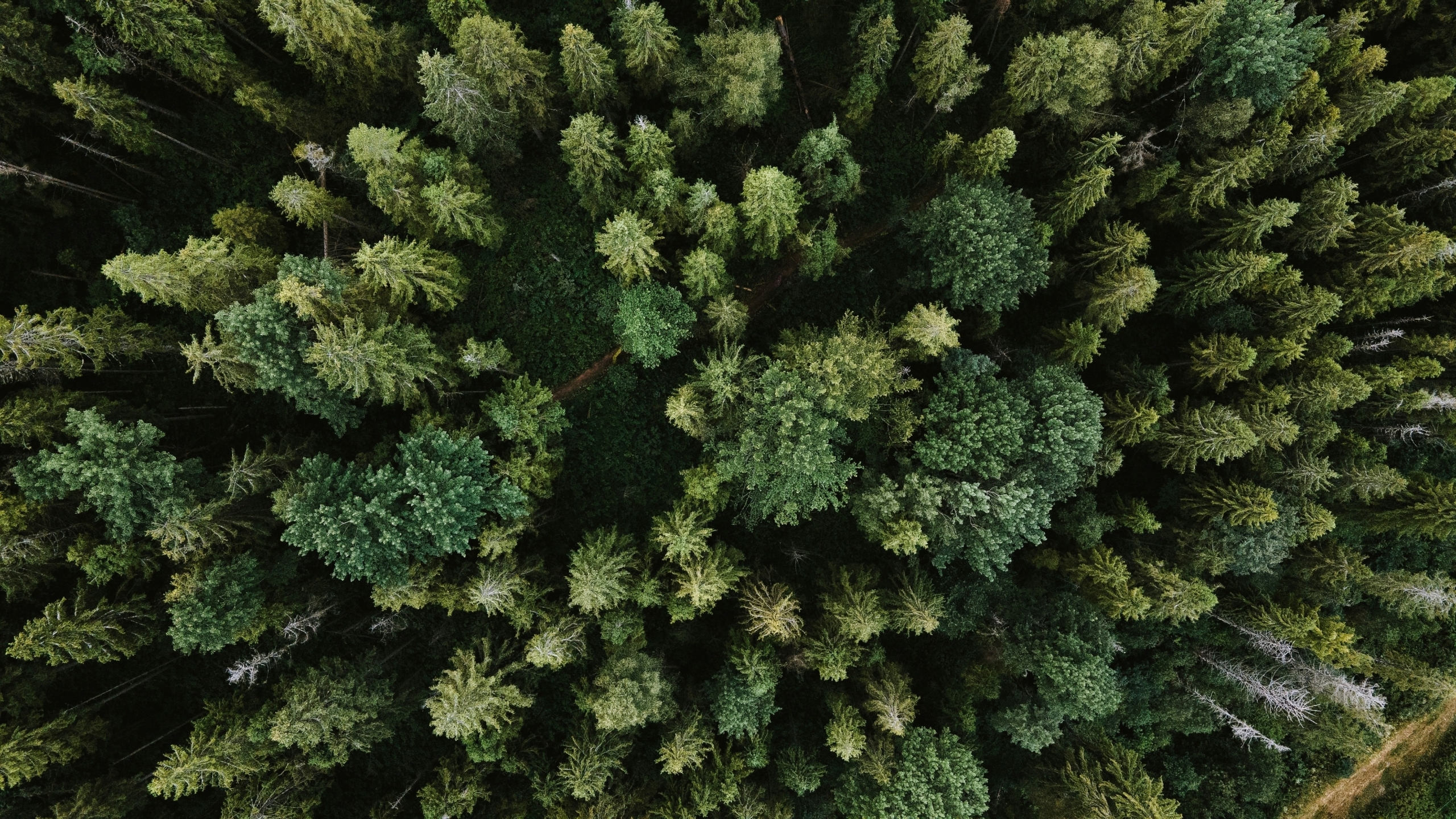 Cradle-to-cradle landscape