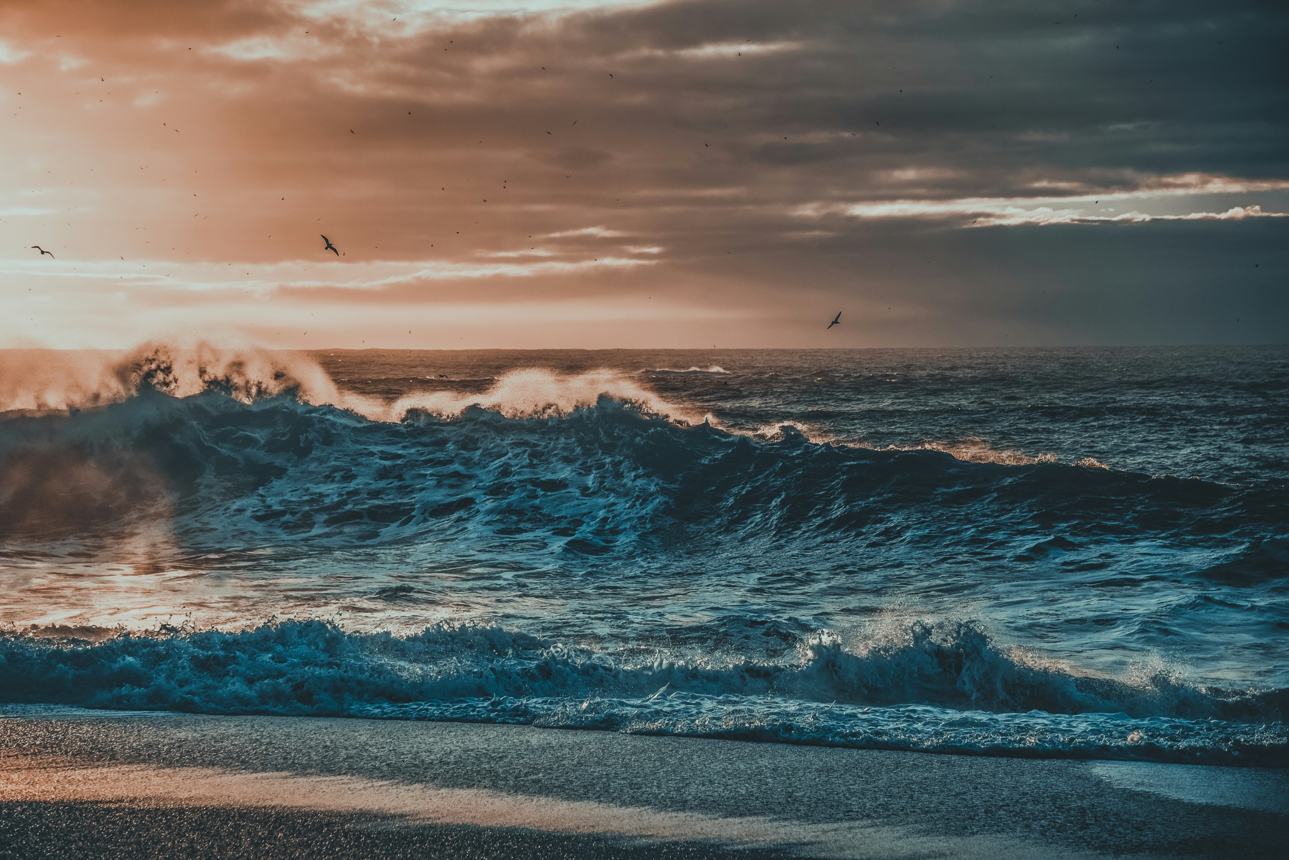 Coastal landscape